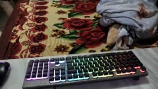 22_gabriely - cam4
