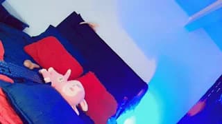 Bad_bichxxx_S7 - cam4