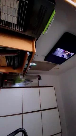 Ladyboyforyou - cam4