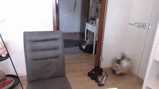 NadineJenny - cam4