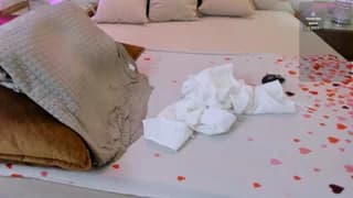 NaughtyLoryy - stripchat