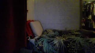 TokyoMegara - cam4