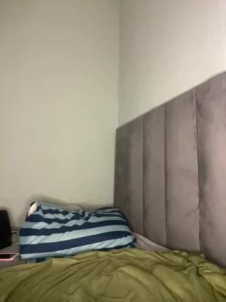 Trans_fairy - stripchat