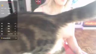 Vixen_Lockheart - stripchat