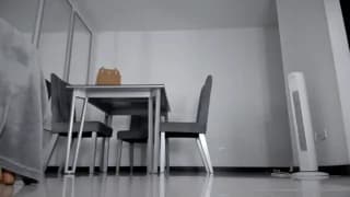 angelturned001 - stripchat