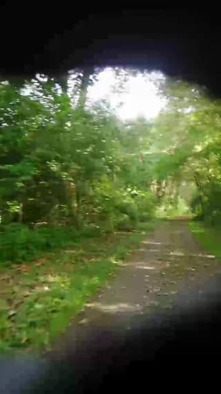 bernadetadwt - cam4