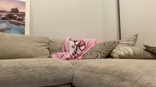 velvettgirl - chaturbate